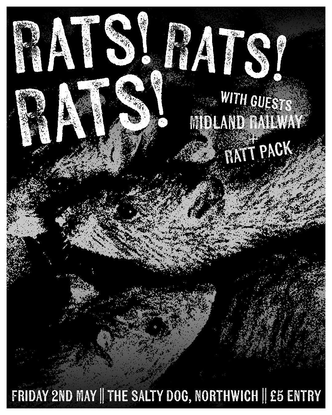 Rats! Rats! Rats, 2 May | Event in Northwich | AllEvents
