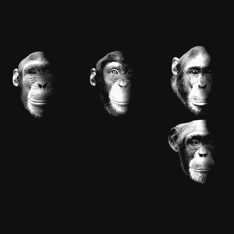 Rick Camp & The Suburban Trunk Monkeys, Lafayette's Music Room, Memphis ...