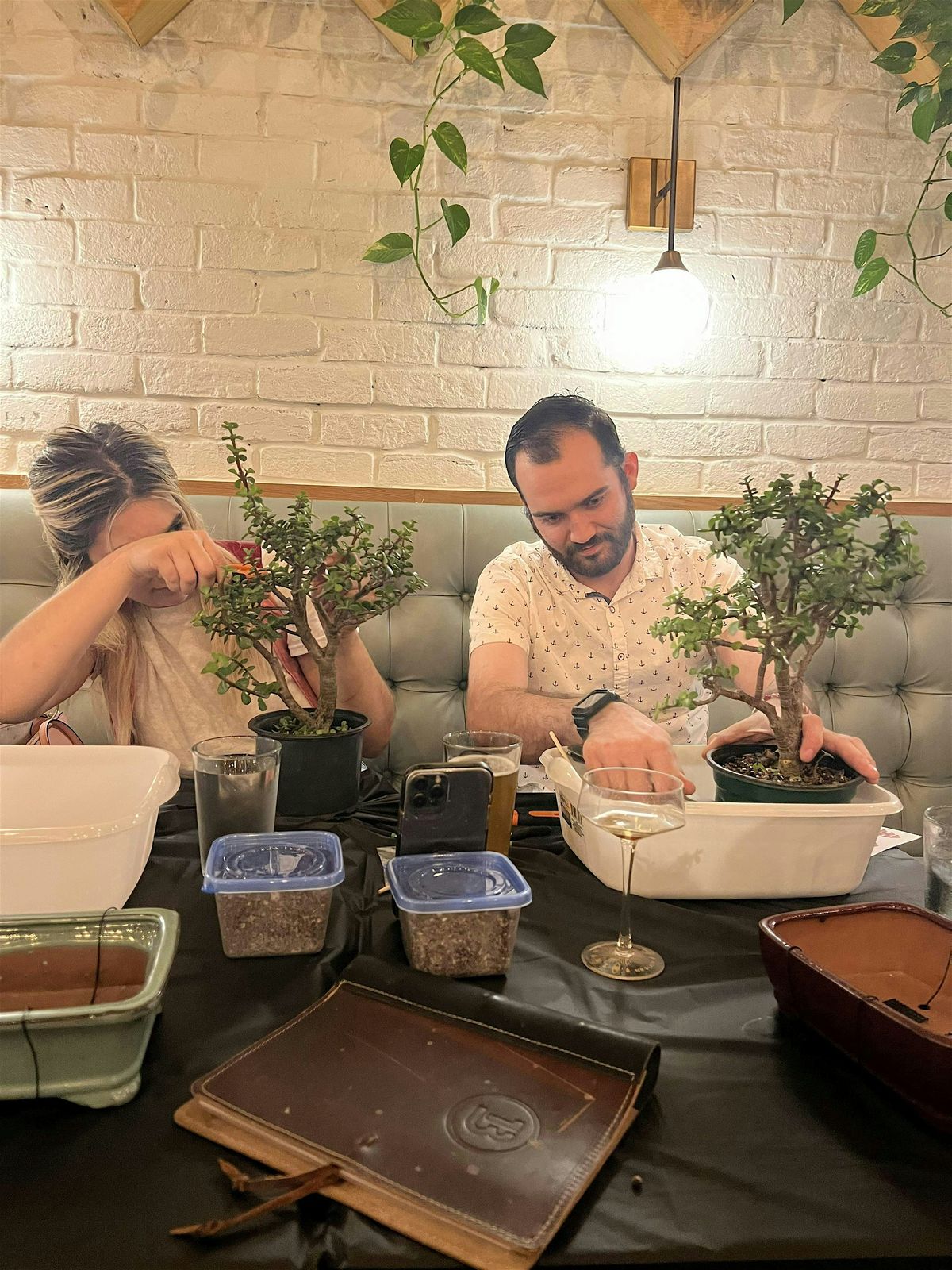 Bonsai Tree Workshop, 22 November | Event in Miami | AllEvents