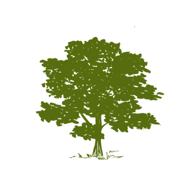 Community Health Systems, Inc.