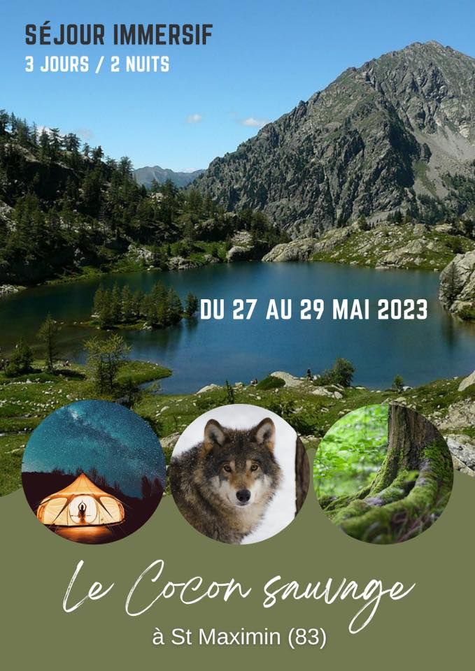 Cocon sauvage à St Maximin (83) sur les traces des loups, Saint