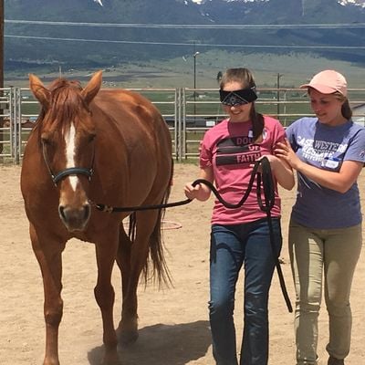 Kim Seng, Equine Facilitator and Coach