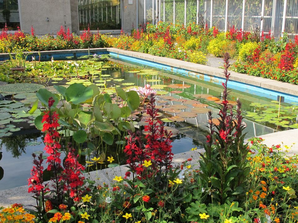 Sommer im Botanischen Garten, Botanischer Garten der FriedrichSchiller