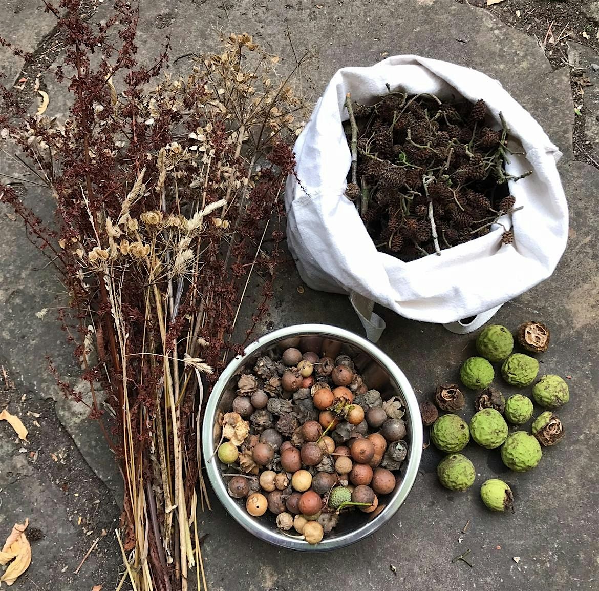 Wild Colour, Natural Ink Workshop, 7 February | Event in Bradford-on-Avon | AllEvents