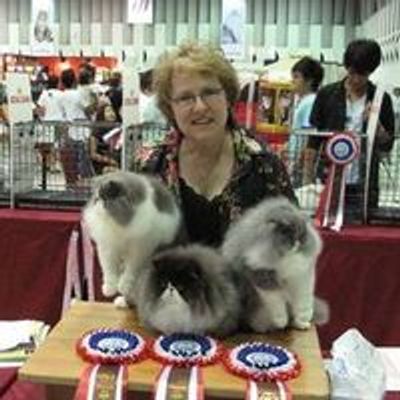 Thumbs Up Cat Fanciers