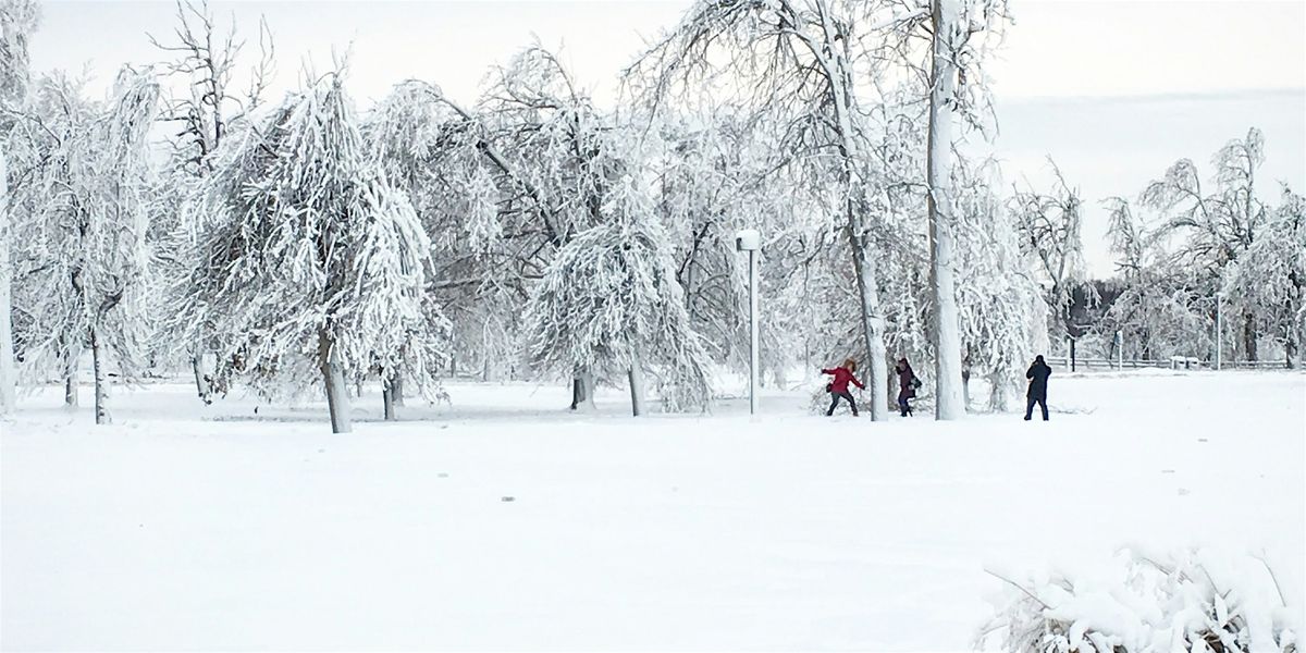 Frosty Falls Walk, 28 February | Event in Niagara Falls | AllEvents