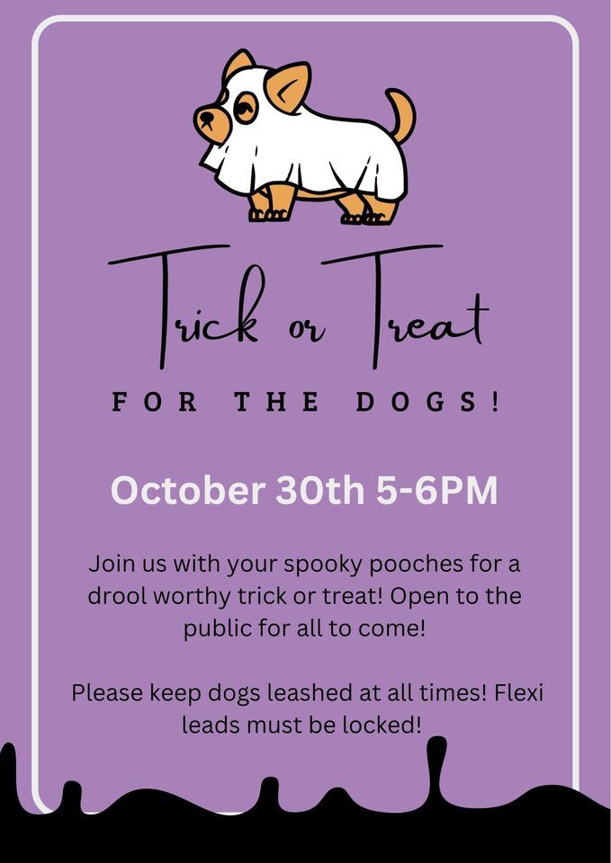 Trick or Treat for the Dogs! , Paws To Heart Dog Grooming, Garrett, 30