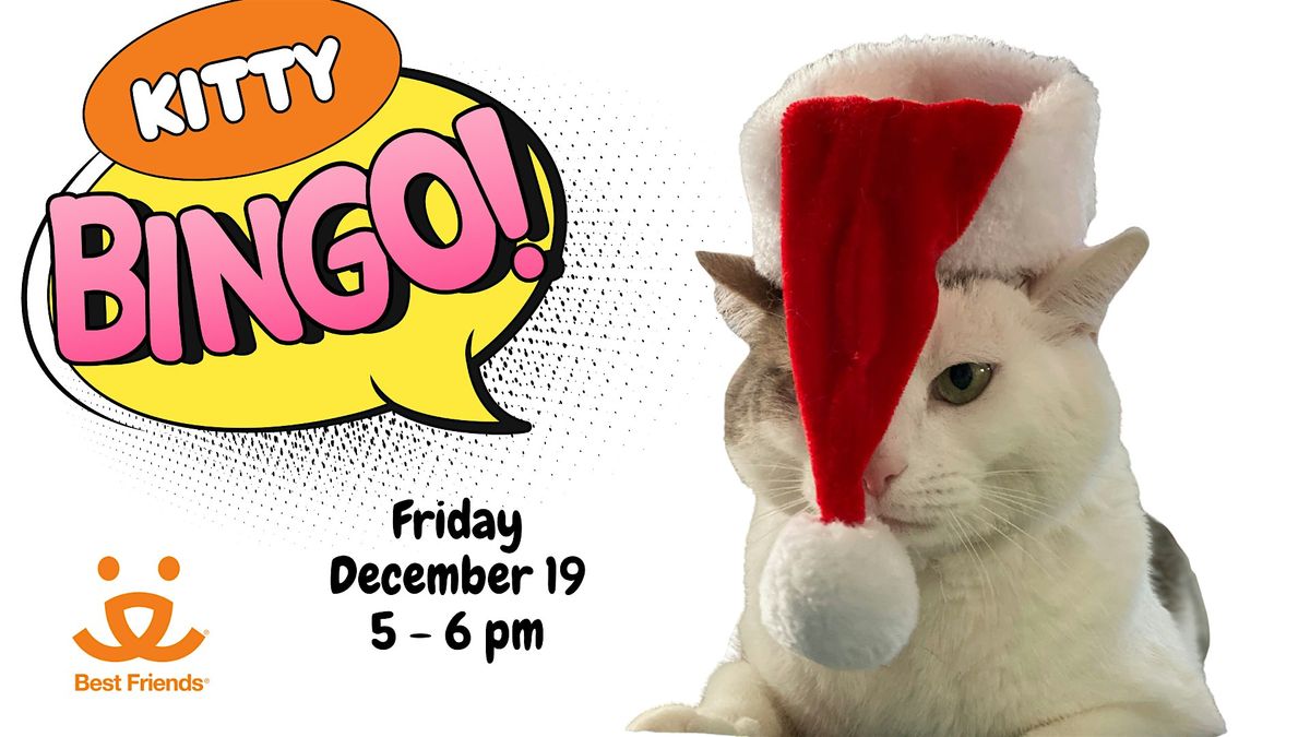 Kitty Bingo, 19 December | Event in Bentonville | AllEvents