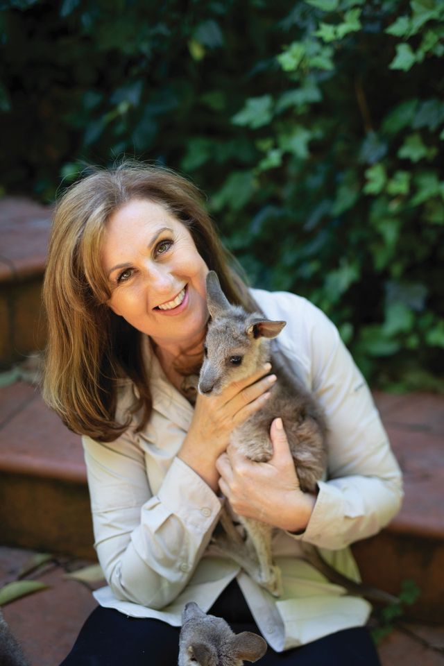 Wildlife Victoria On Call To Help, St Philips Anglican Church, Cowes, June 30 2023 AllEvents.in