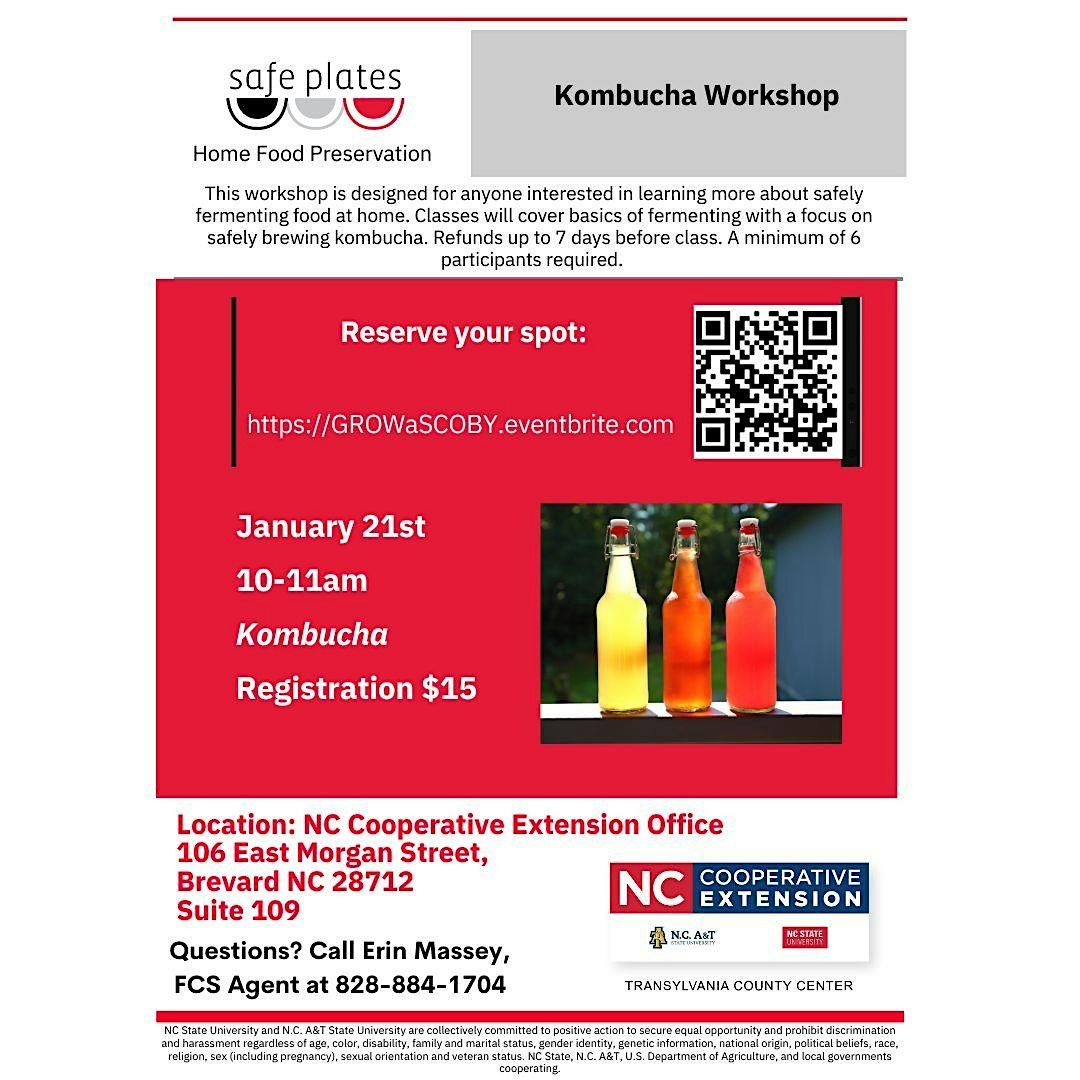Kombucha Workshop, 21 January | Event in Brevard | AllEvents