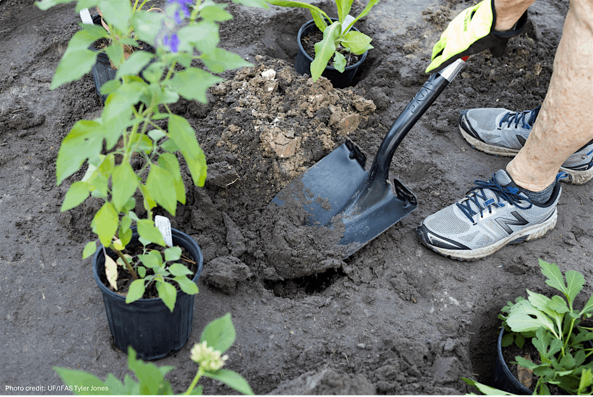 Foundation of a Healthy Garden @ Rotary Park, 10 January | Event in Cape Coral | AllEvents