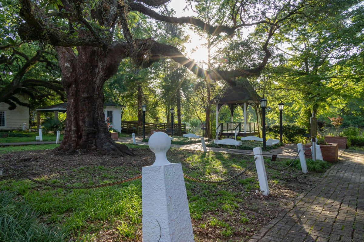 Parking Evangeline, 24 July | Event in Moncton | AllEvents