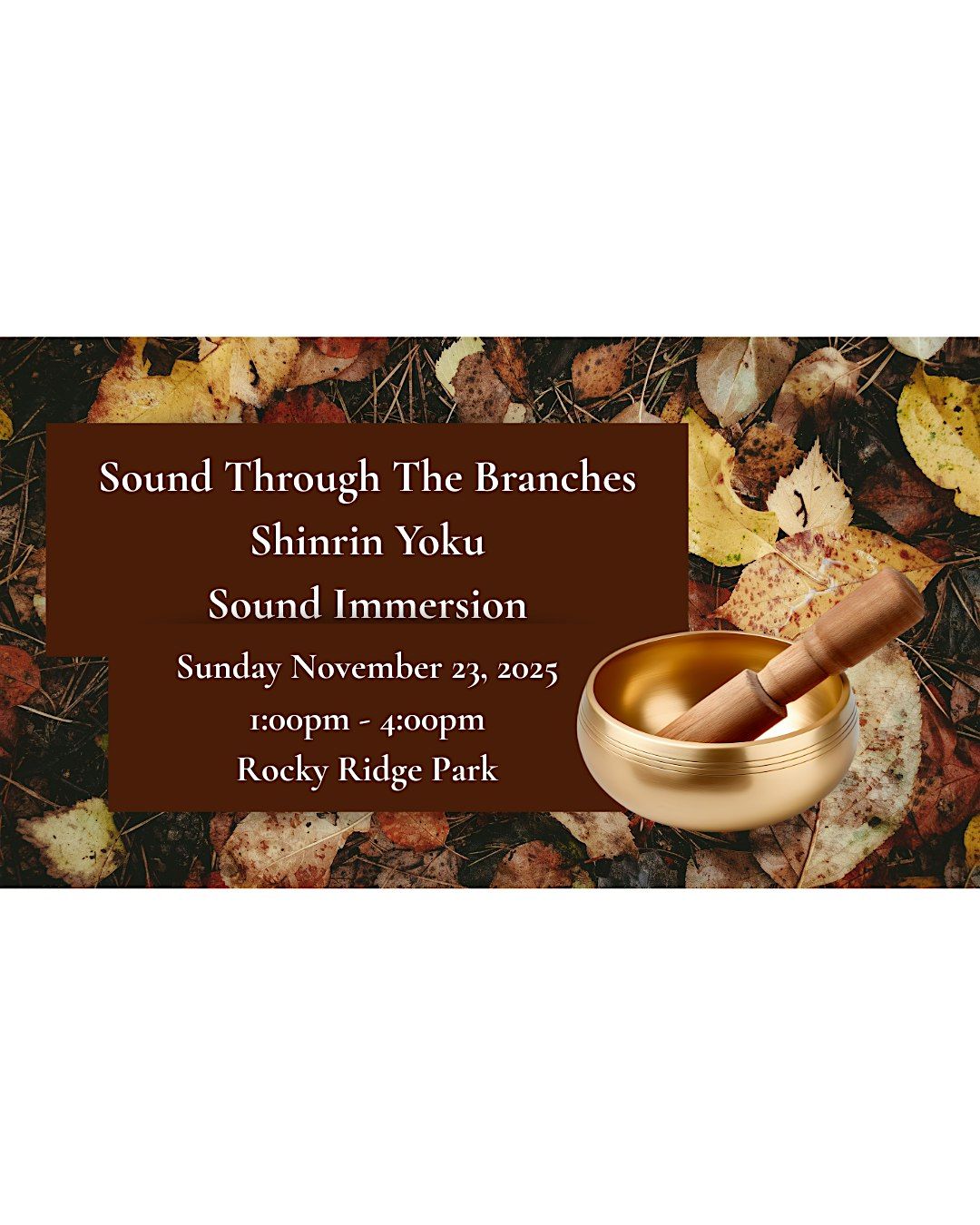 Sound Through the Branches, 23 November | Event in York | AllEvents