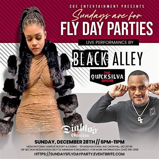 Sunday's are for "Fly Day Parties", 28 December | Event in Oxon Hill | AllEvents