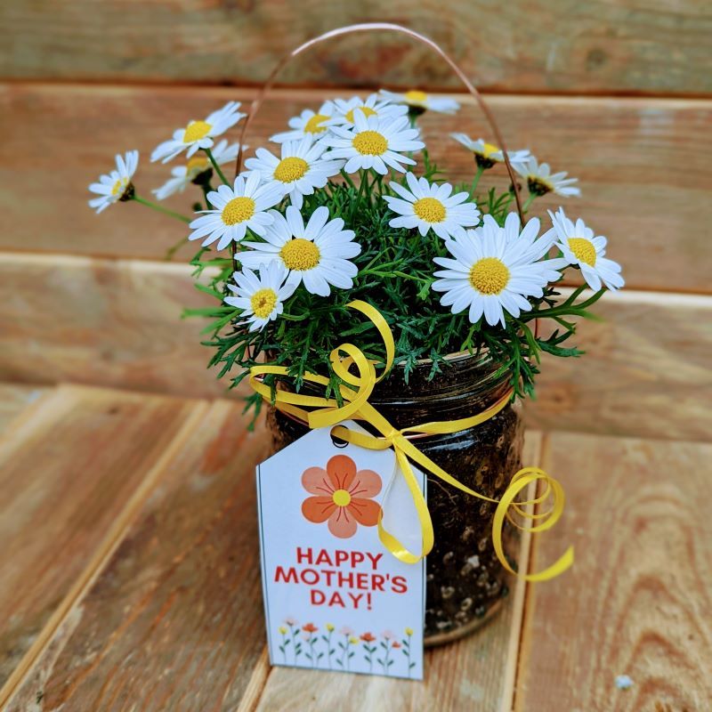 Drop In Mothers Day Mason Jar Work Ted Lare Design Build Garden Center Ming May 7 2022 Allevents Drop In Mothers Day Mason Jar Work, Ted Lare Garden Center Classes
