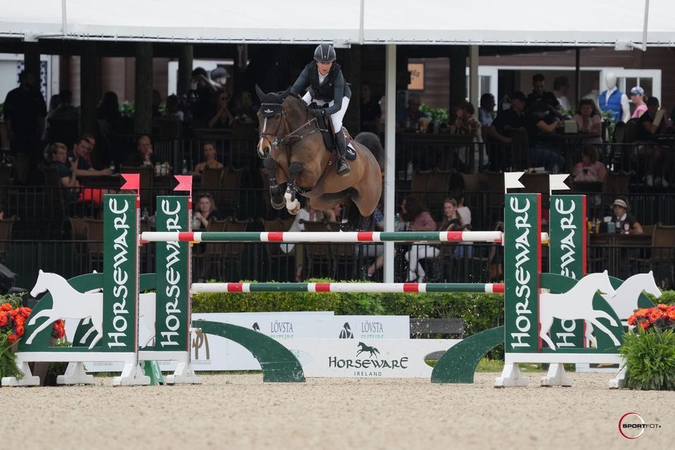 Watch Live Horseware Ireland CSI4* Grand Prix, Wellington