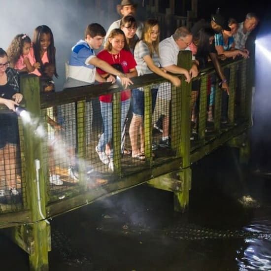 Gatorland Orlando: Gator Night Shine | Event in Hunters Creek | AllEvents