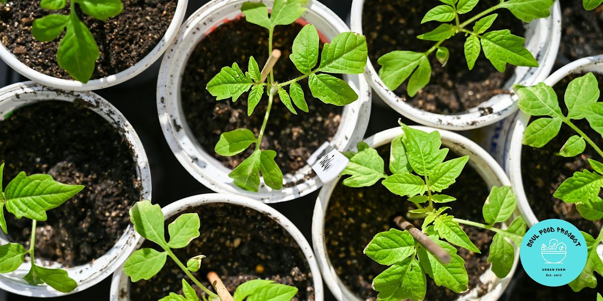 Planting Method And Soil Preparation [Free Workshop], 16 May | Event in Indianapolis | AllEvents