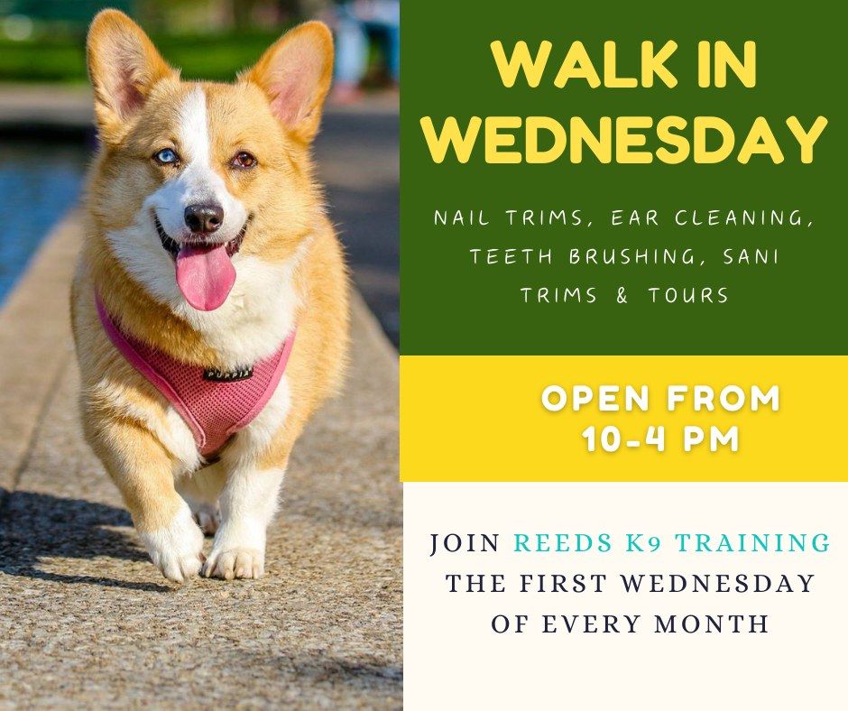 Walk In Wednesday Reeds K9 Training Reeds K9 Training Minot ND walk-in-wednesday-reeds-k9-training-reeds-k9-training-minot-nd