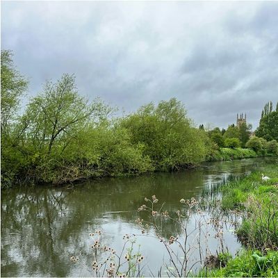 The Gathering: for water and Nature logo