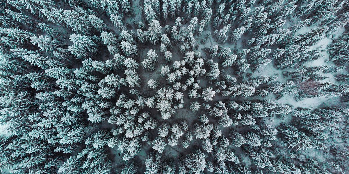 Winter Light: Reiki Sound Bath & Meditation, 24 January | Event in Annapolis | AllEvents