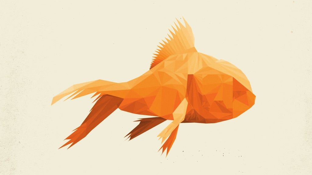 Goldfish, 13 June | Event in Santa Fe | AllEvents