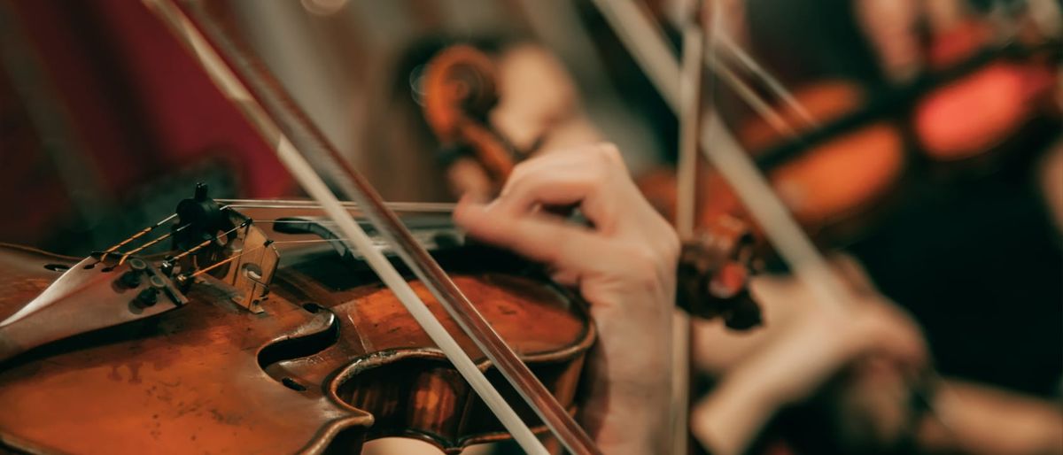 Stardew Valley - Symphony of Seasons at Walt Disney Theater at Dr Phillips Center, 27 September | AllEvents