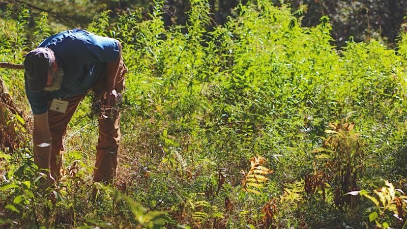 FIRESIDE CHAT: Upland Invasive Plant Species of New Hampshire, 15 April | Event in Bristol | AllEvents