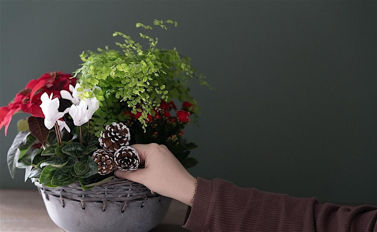 Make-n-Take : Poinsettia Garden at Mahoney's Winchester, 13 December | Event in Winchester | AllEvents