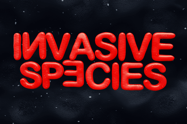 Invasive Species, 3 September | Event in London | AllEvents