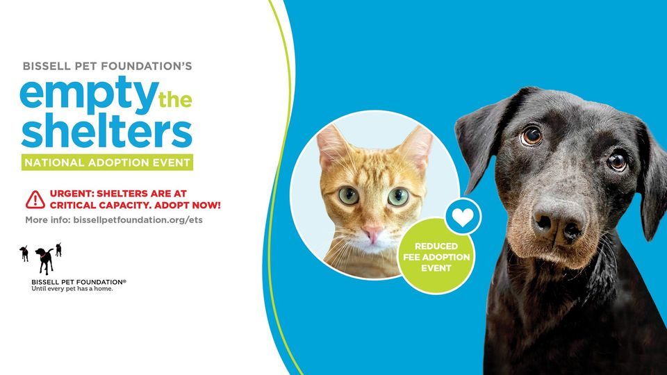 Reduced fees adoption event, PetSmart (Mandeville, LA), October 7 2023