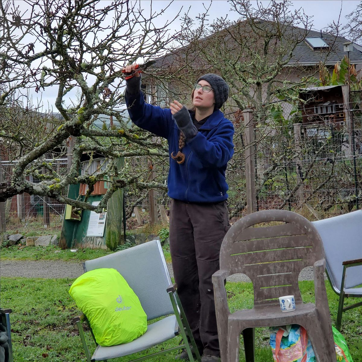 Winter Fruit Tree Pruning, 25 January | Event in Victoria | AllEvents