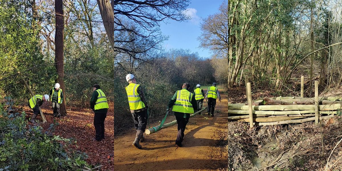 Conservation Volunteering Days: Building Leaky Dams in Epping Forest