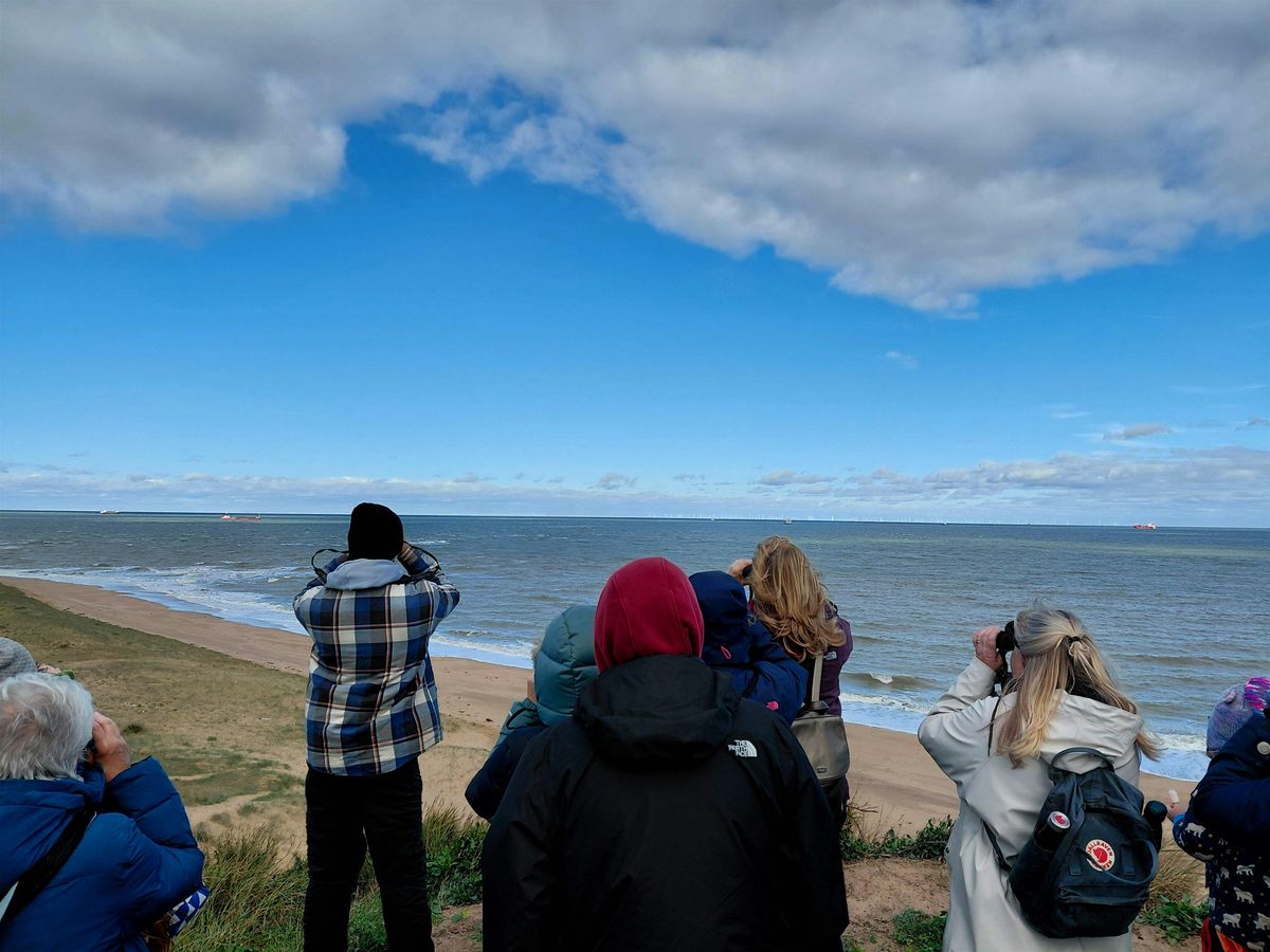 Botany Bay free guided walk, 22 December | Event in Cliftonville | AllEvents