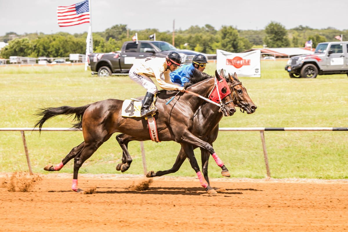 Pari Mutuel Horse Racing, Gillespie County Fairgrounds, Fredericksburg, August 13 2025