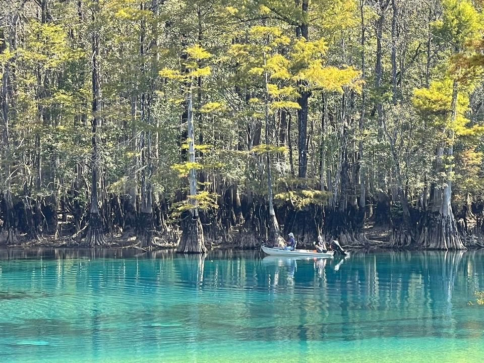 New Years Day 2024 SCUBA Diving at Morrison Springs, Morrison Springs ...