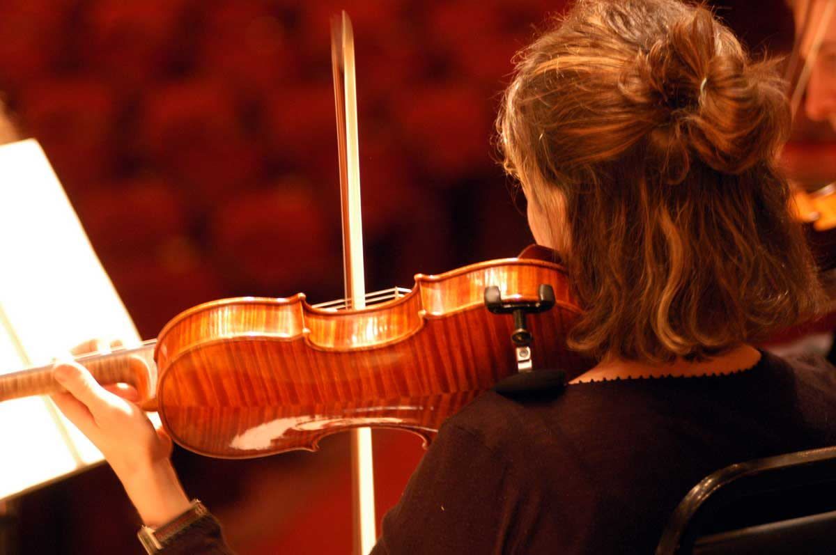 Flint Symphony Orchestra: Enrique Diemecke - Shadow and Light, 20 March | Event in Flint | AllEvents