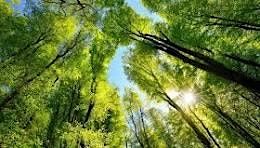 Caerphilly Business Club Climate Coalition Launch, 16 January | Event in Caerphilly | AllEvents