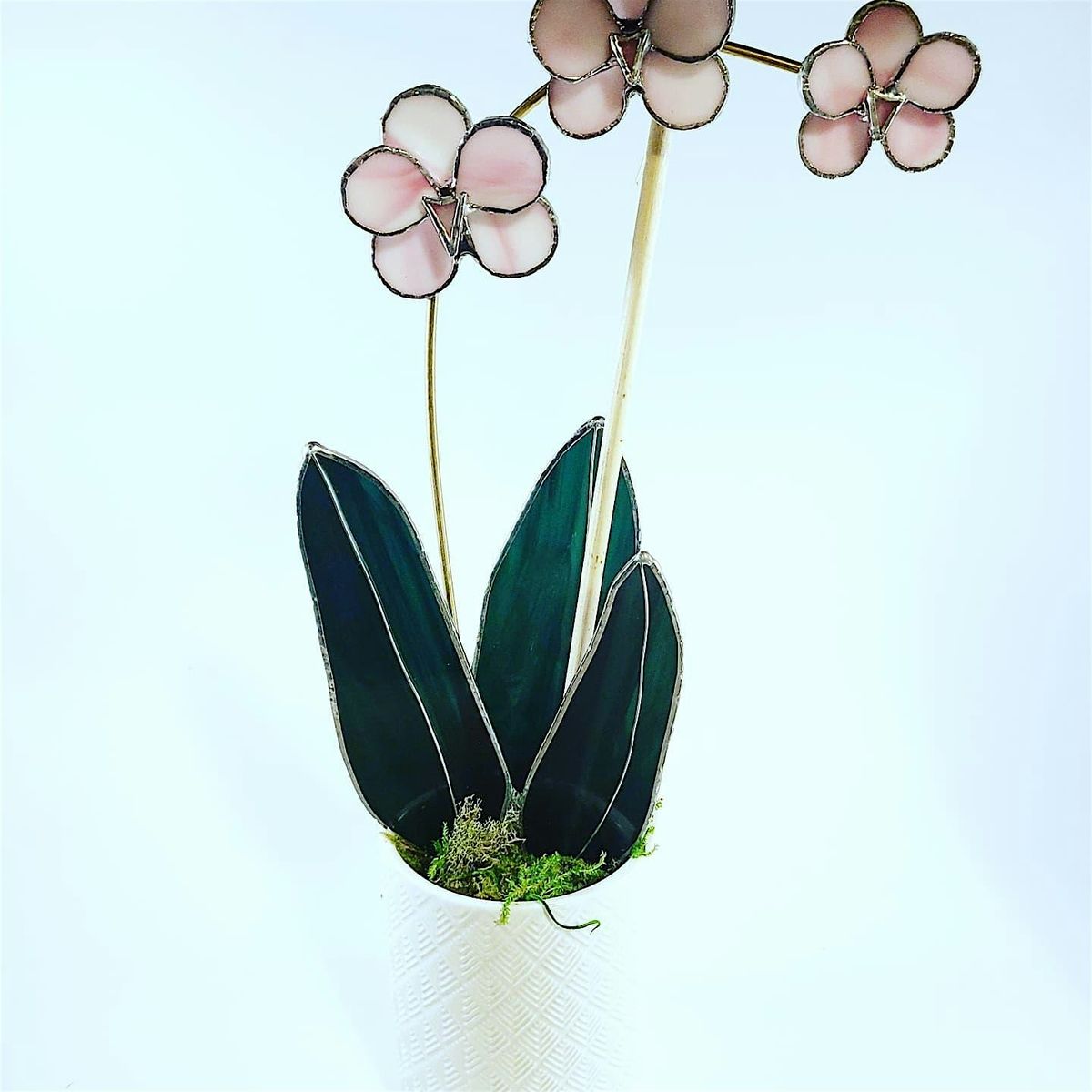 Stained Glass Orchid, 29 January | Event in Anoka | AllEvents