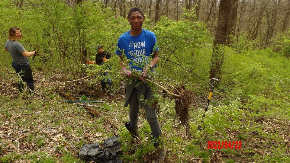 Tree Planting & Invasive Species Removal for Earth Day, 15 April | Event in Delaware | AllEvents.in