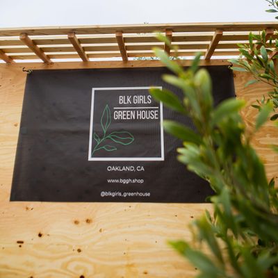 Blk Girls Green House logo