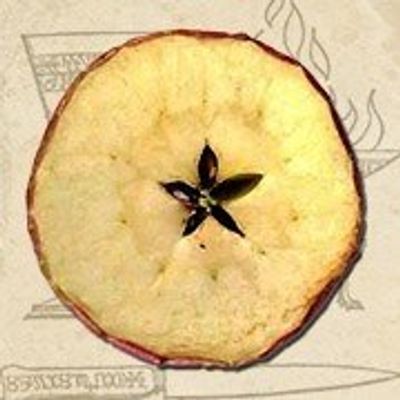 Anticamela