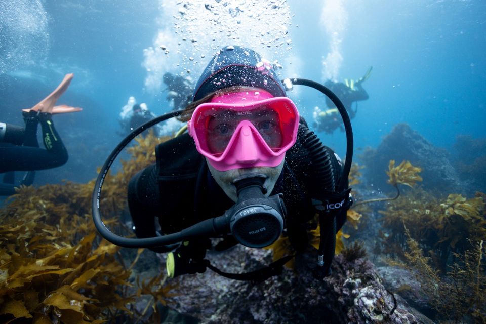 PADI Open water Dive Course. Learn to Dive!, Dive HQ Auckland, July 1