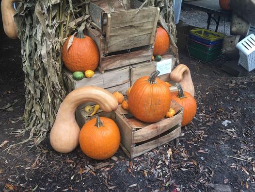 Bengali Food Festival Events In The City Top Upcoming Events For Bengali Food Festival 2022 Punkin Town Fair New Salem