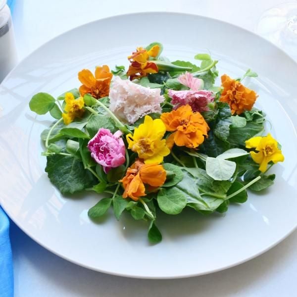 Grow Your Garden Series Greens, Herbs, and Edible Flowers, Ypsilanti