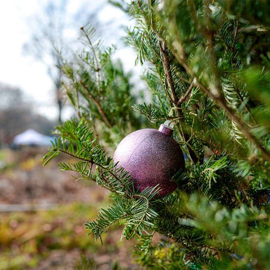 Winter Wonder at Queens Botanical Garden, 7 December | Event in Flushing | AllEvents