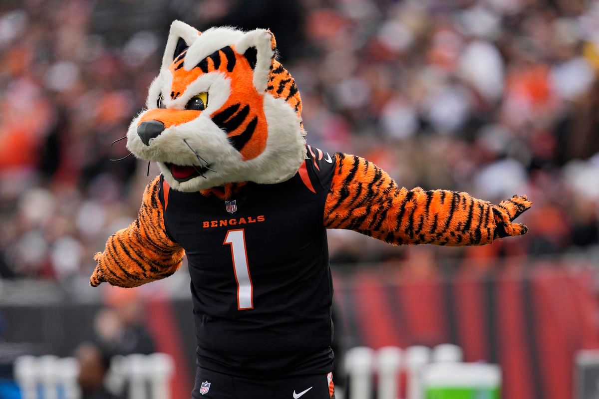 Minnesota Vikings vs. Cincinnati Bengals, 20 September | Event in Minneapolis | AllEvents
