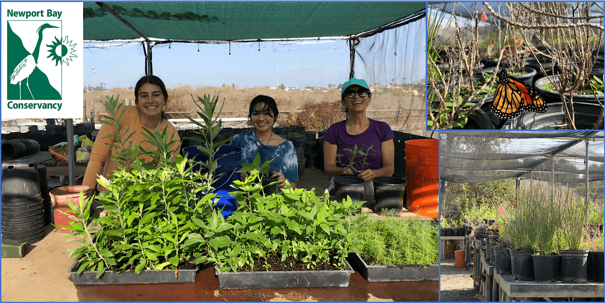 Sow and Grow Fridays | Event in Newport Beach | AllEvents