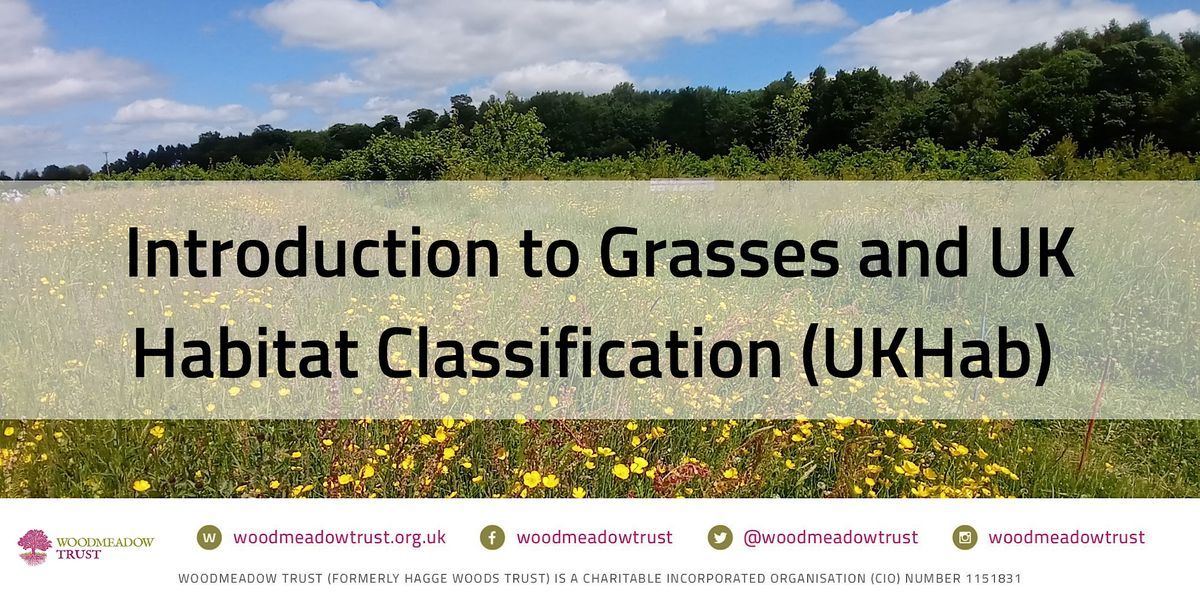 Introduction to Grasses and UK Habitat Classification (UKHab), Three ...