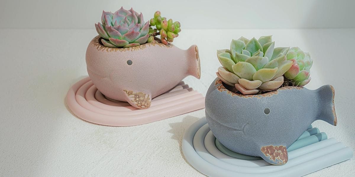 Parenting Succulent Plant Arrangement Workshop | Event in Richmond Hill | AllEvents